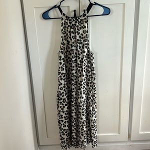 Sexy leopard print shift dress, more knee length than mini